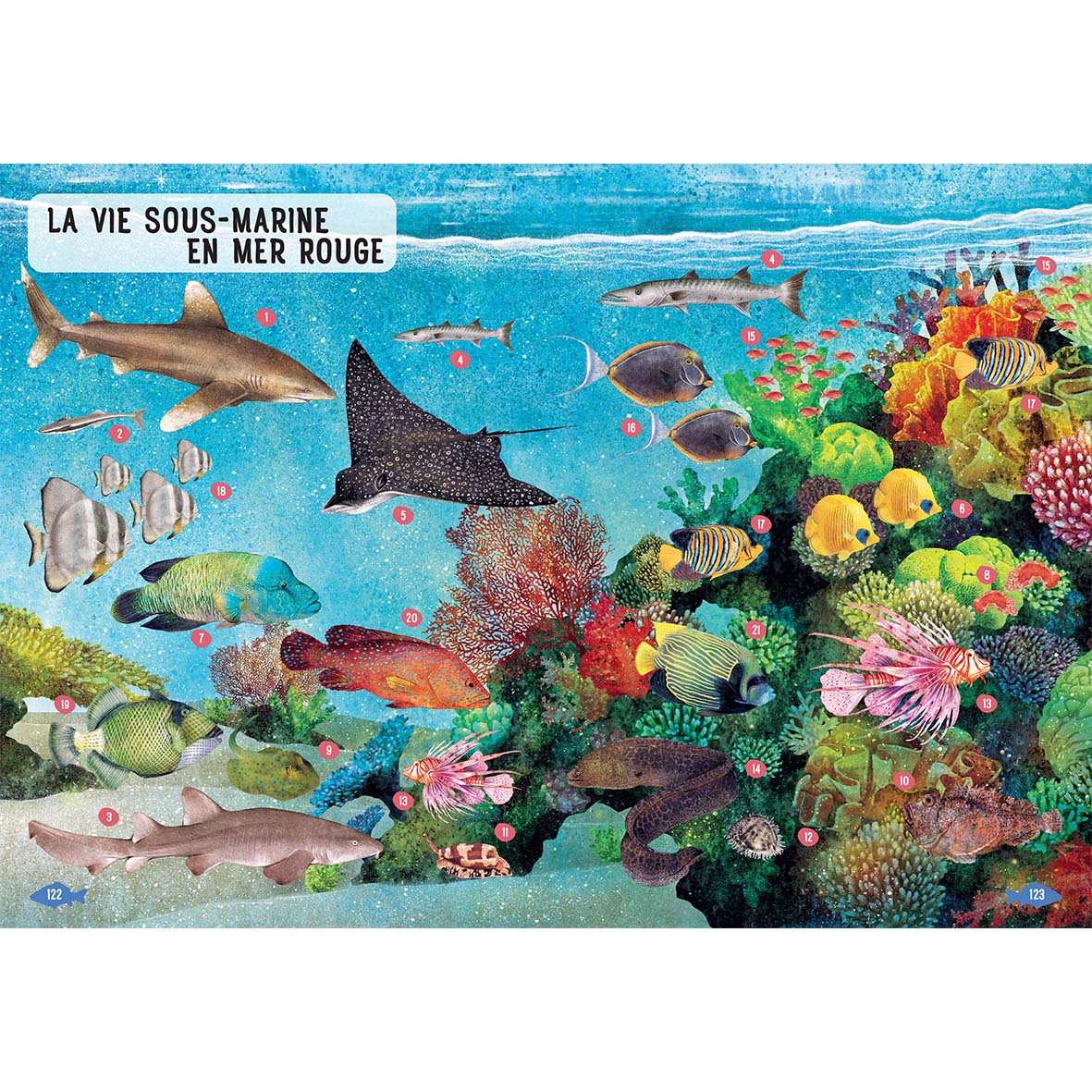 Guide des poissons du monde - Un guide illustré pour enfants de 0 à 109 ans