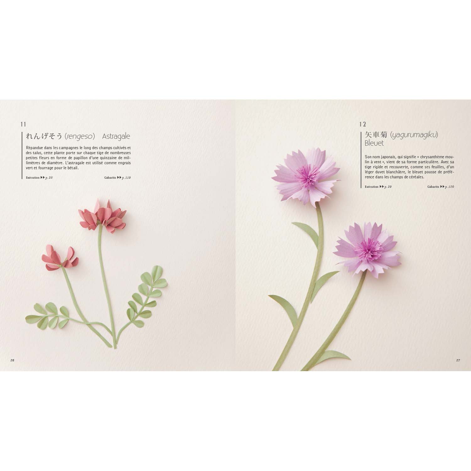 Fleurs en papier japonaises
