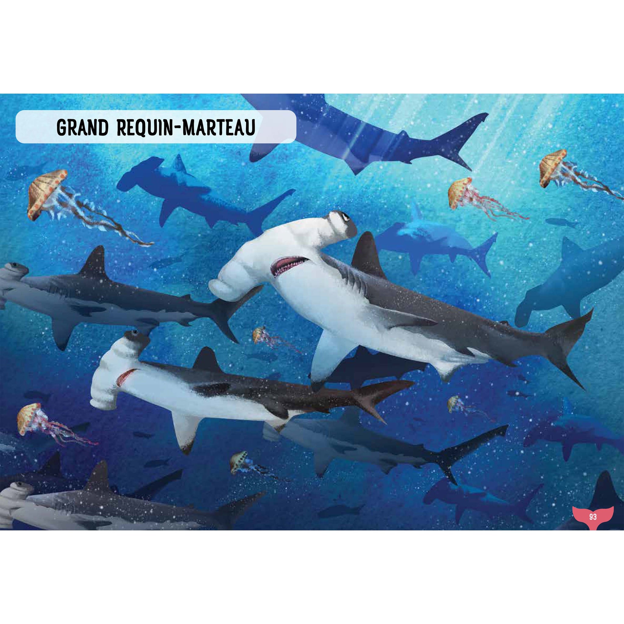 Guides des requins, baleines et autres géants de la mer (nouvelle édition)