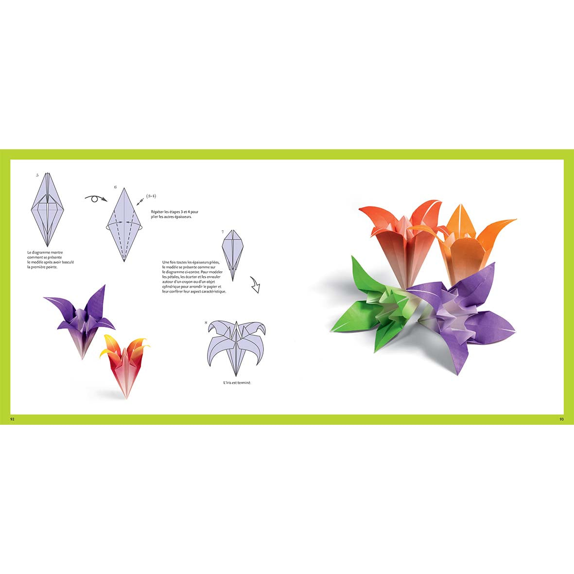 Leçons d'origami - Le livre pour devenir origamiste