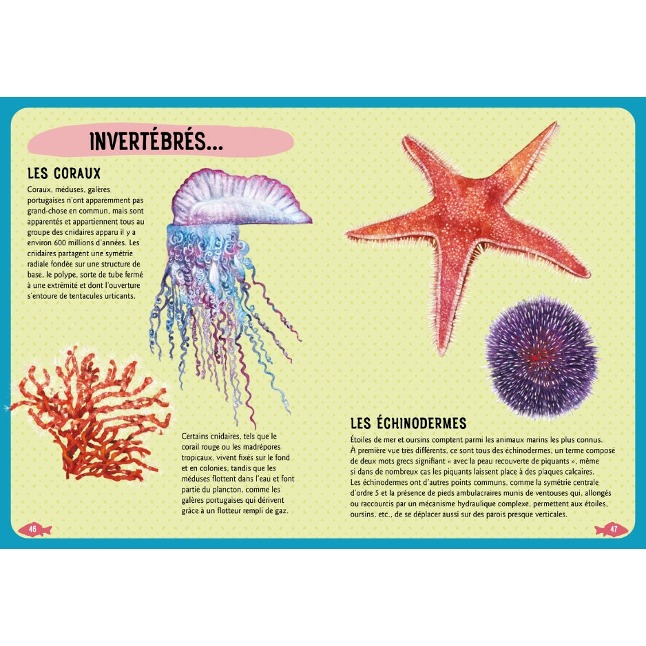 Guide des poissons du monde - Nouvelle édition