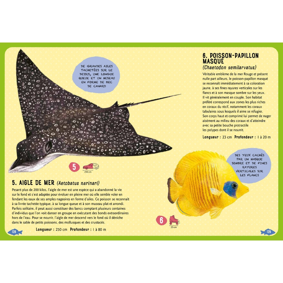 Guide des poissons du monde - Nouvelle édition