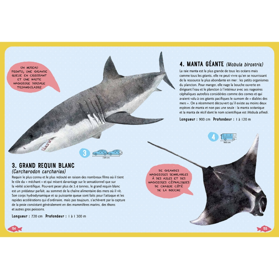 Guide des poissons du monde - Nouvelle édition