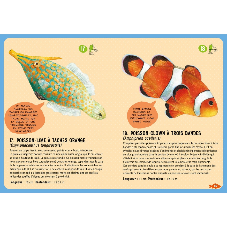 Guide des poissons du monde - Nouvelle édition