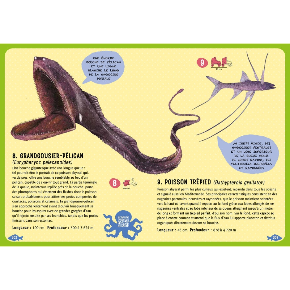 Guide des poissons du monde - Nouvelle édition