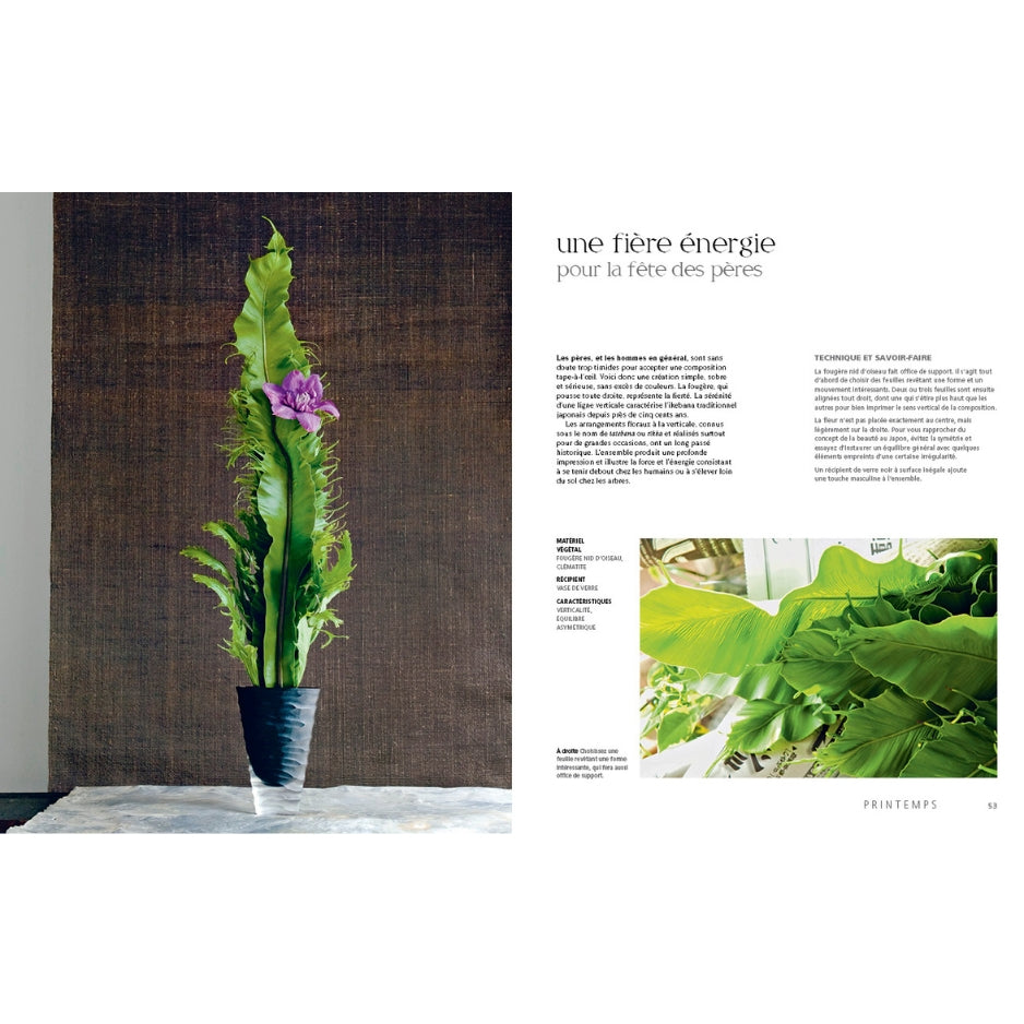 Ikebana - Nouvelle édition