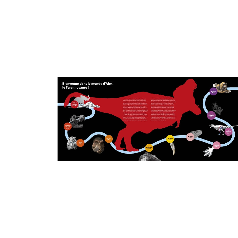 T-rex - Le roi des dinosaures - Nouvelle édition