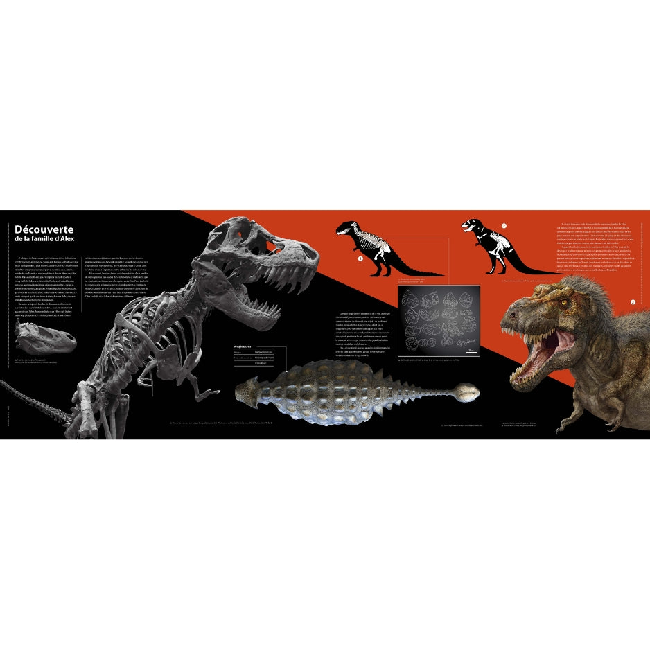 T-rex - Le roi des dinosaures - Nouvelle édition