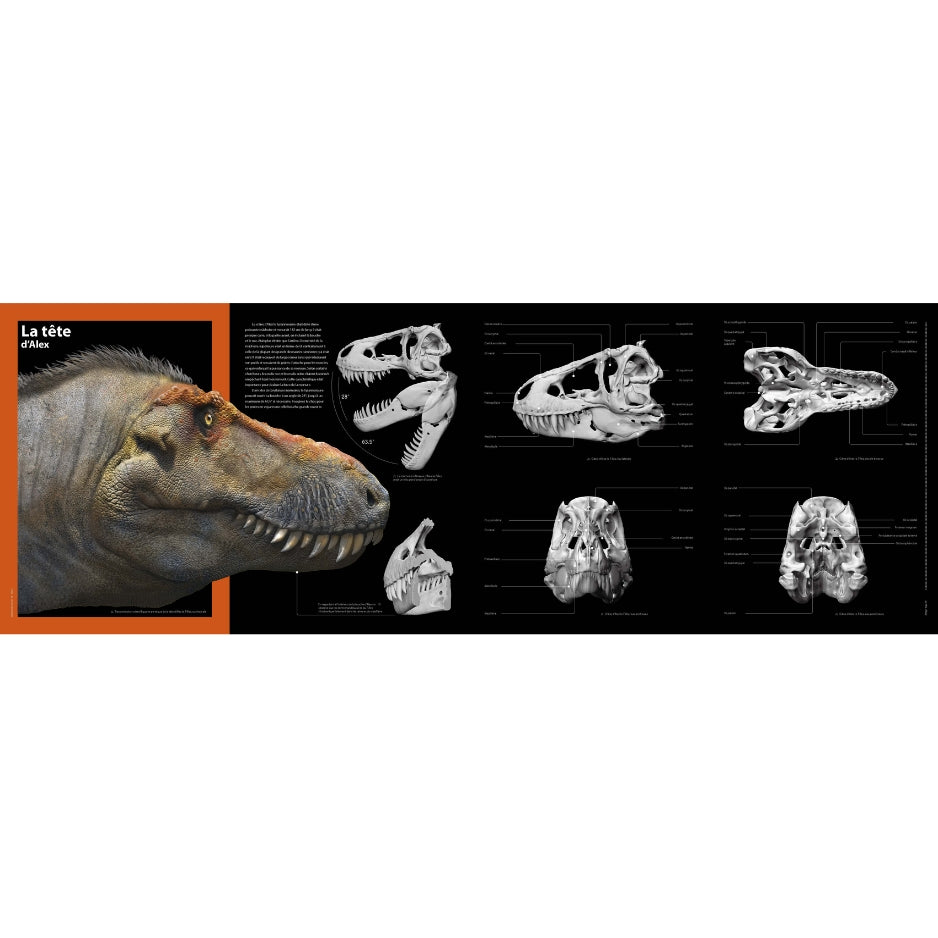 T-rex - Le roi des dinosaures - Nouvelle édition