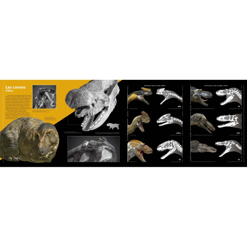 T-rex - Le roi des dinosaures - Nouvelle édition