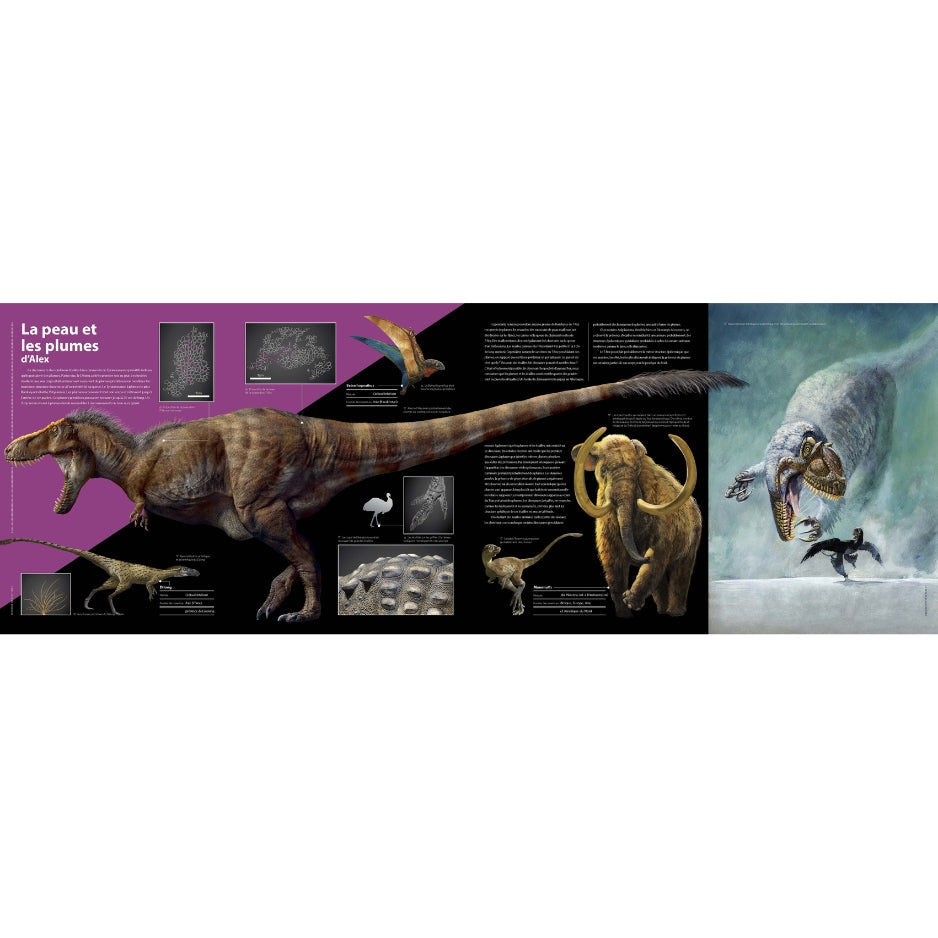 T-rex - Le roi des dinosaures - Nouvelle édition