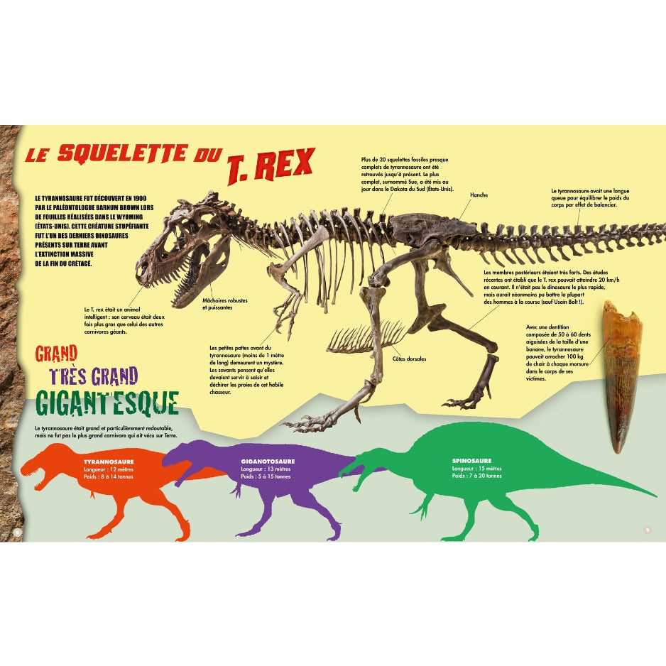 T-Rex - Construis ton dinosaure géant en 3D