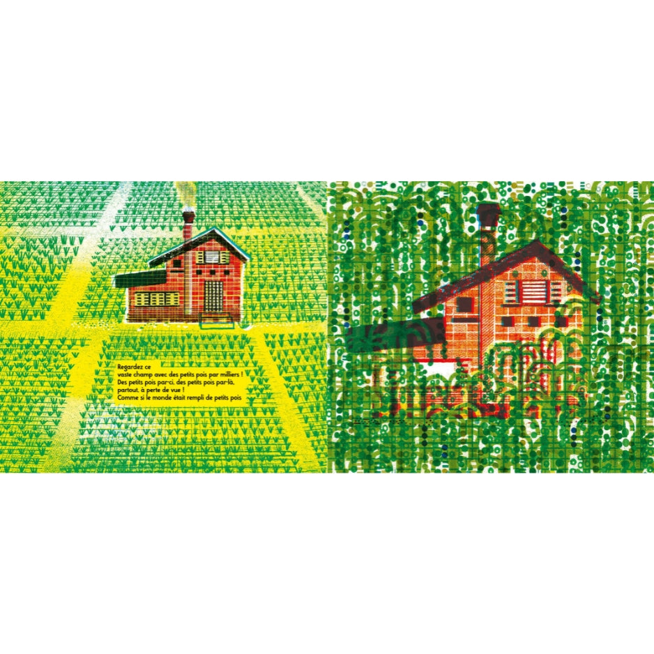 Le grand pois et son ambition