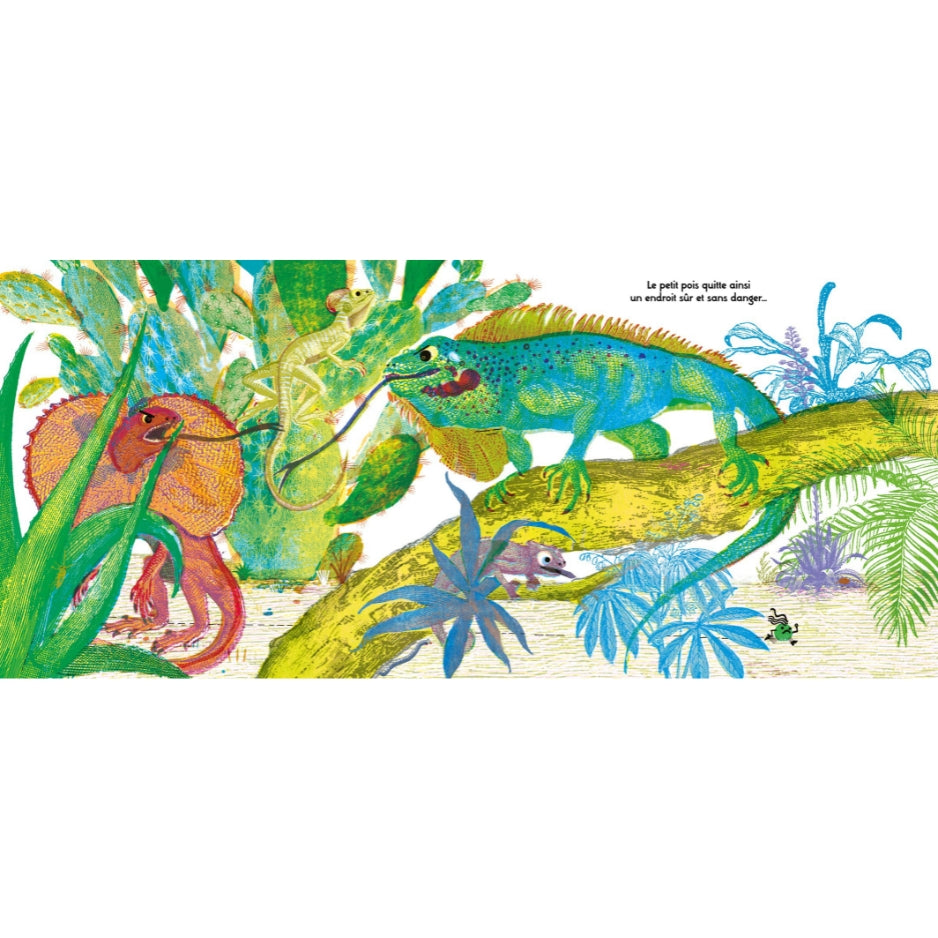 Le grand pois et son ambition