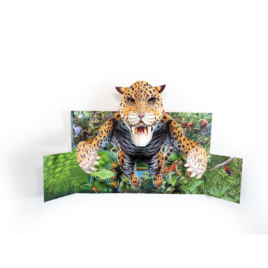 Forêts tropicales - Pop-up XXL