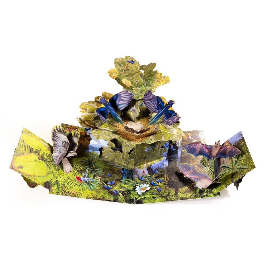 Forêts tropicales - Pop-up XXL