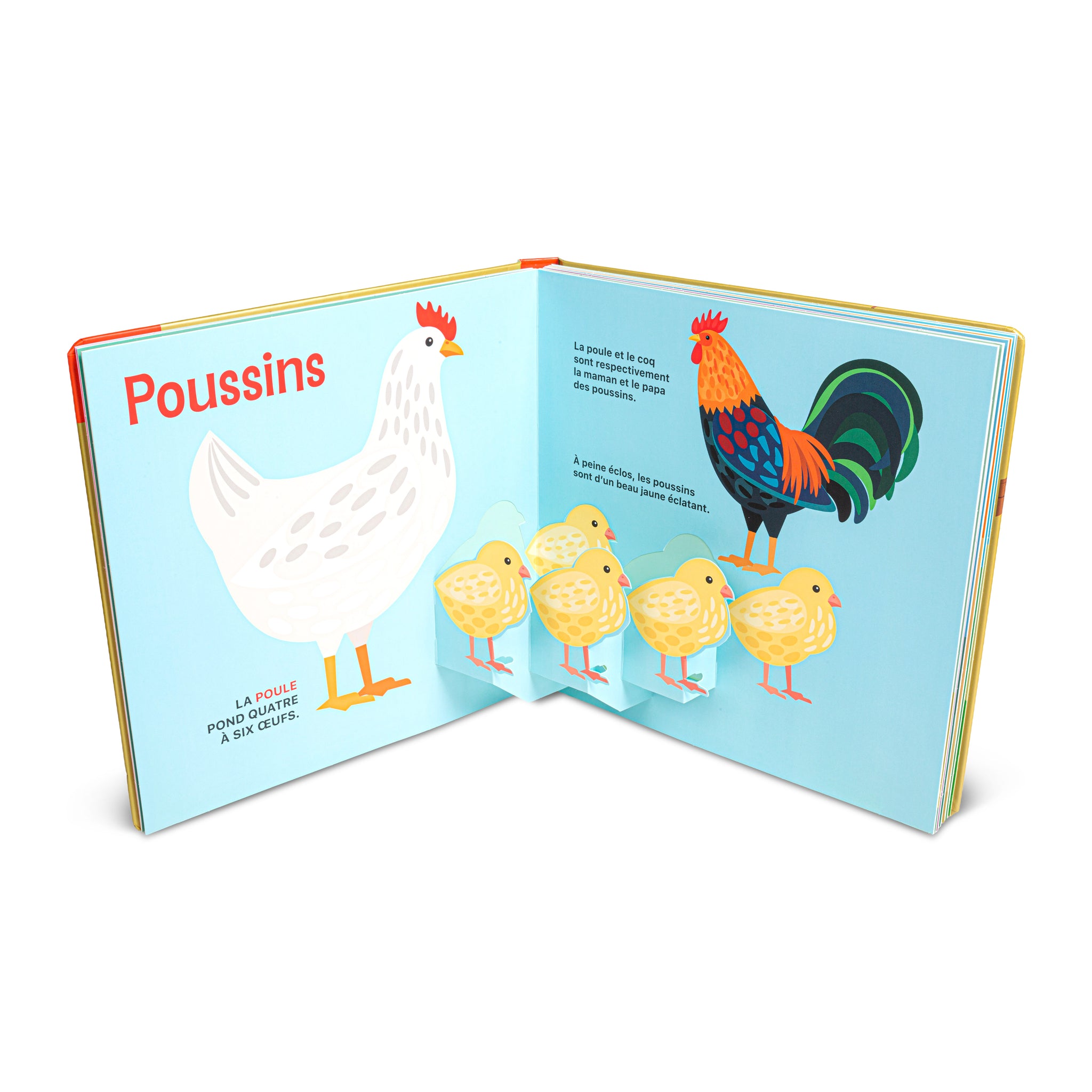 Super pop-up - Bébés animaux