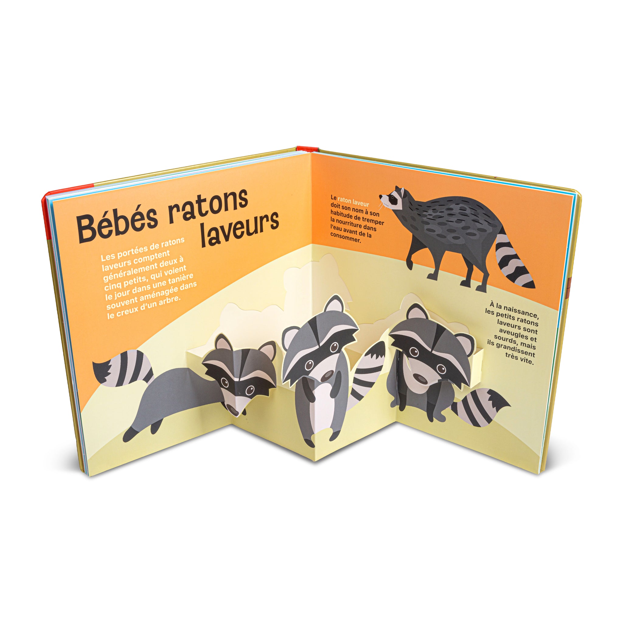 Super pop-up - Bébés animaux