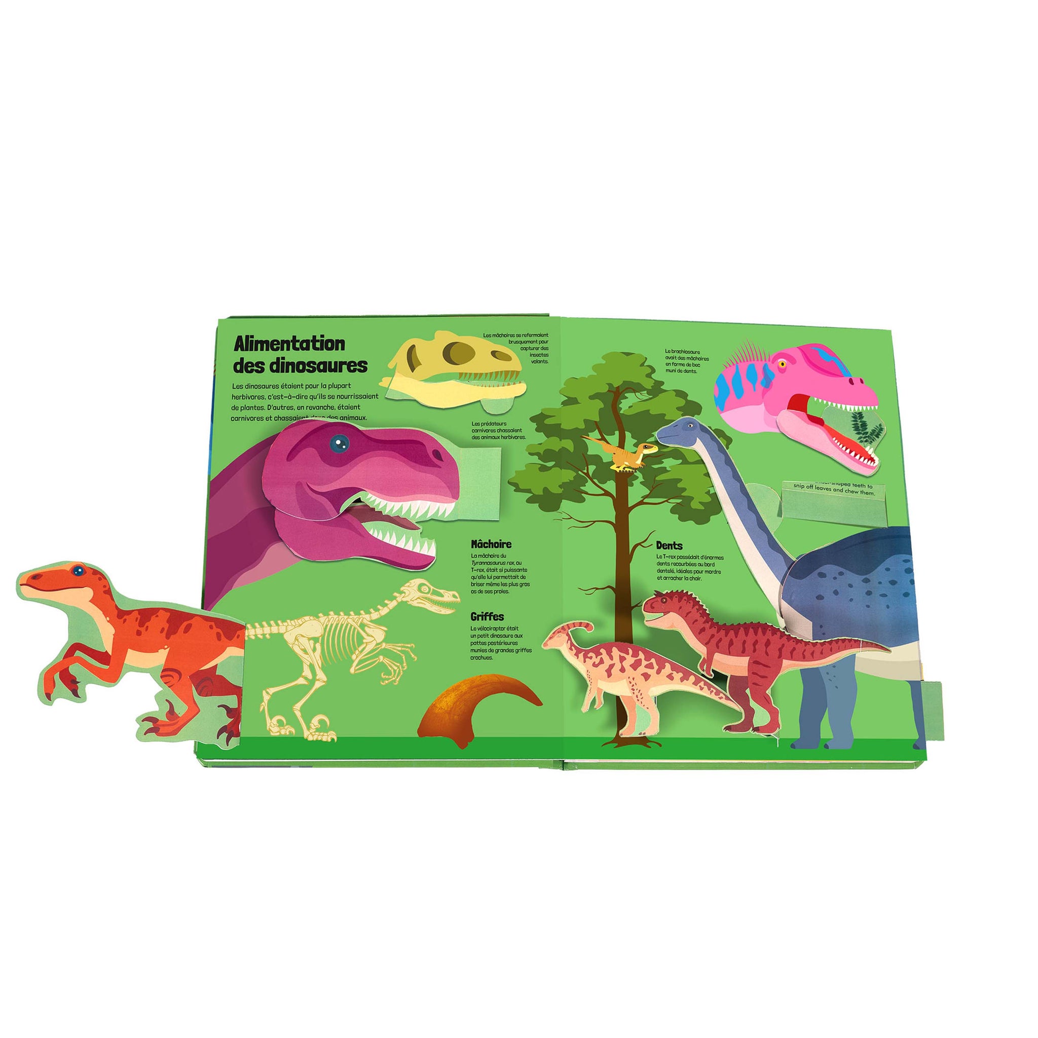 Un livre tout animé - Dinosaures