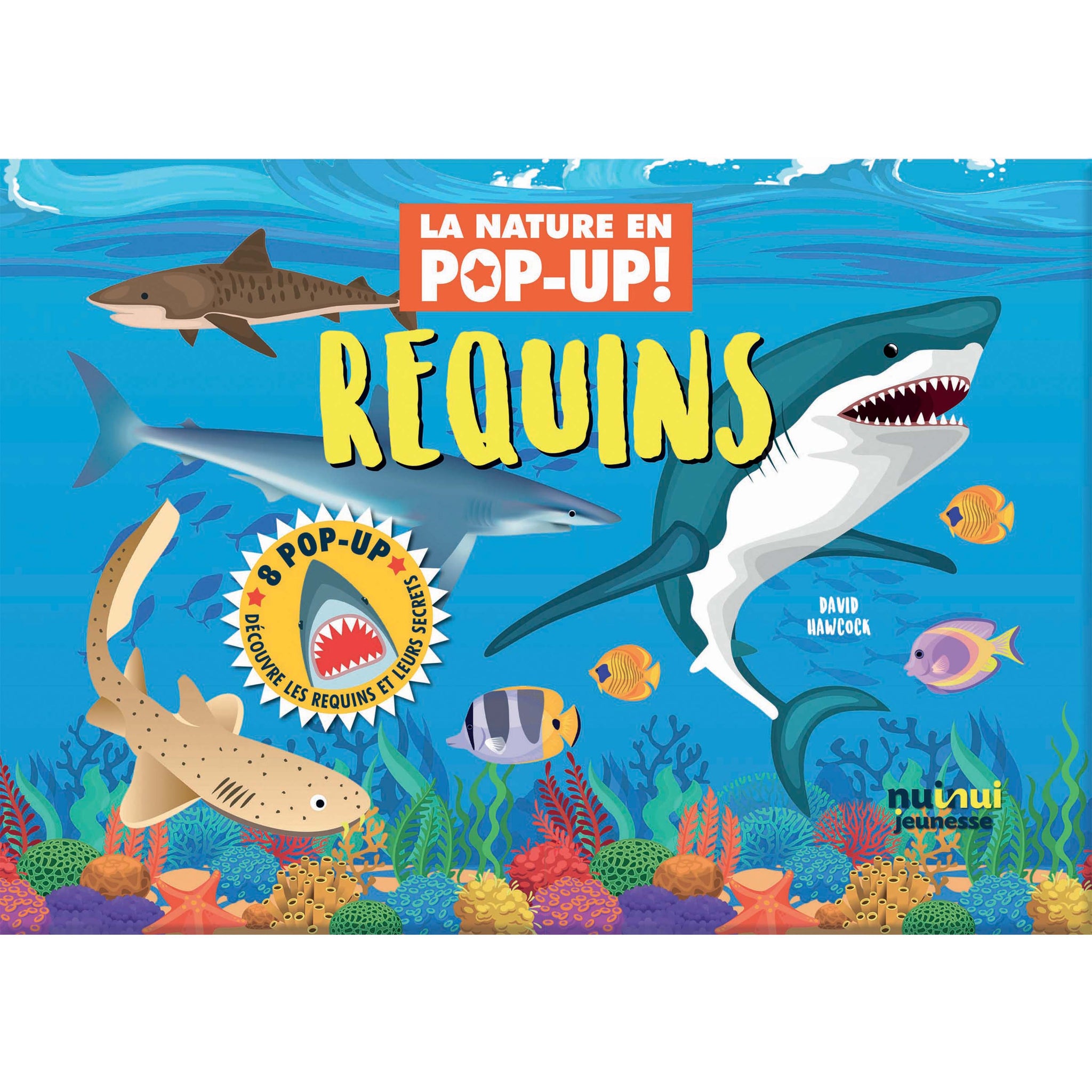 La nature en pop-up - Requins