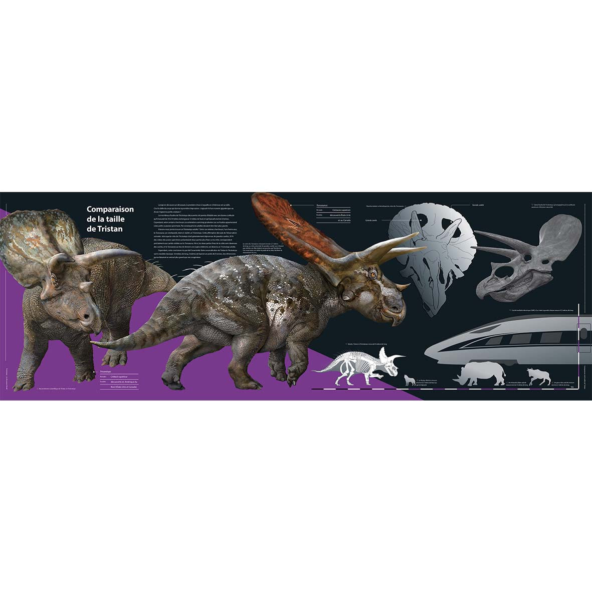 Tricératops - Le dinosaure blindé