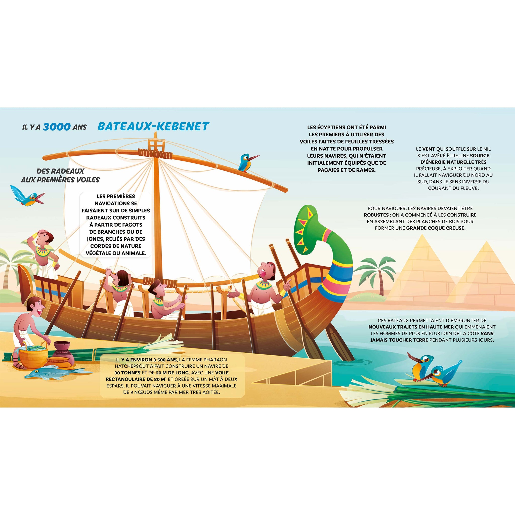 Voiliers - De la felouque égyptienne aux catamarans à foils
