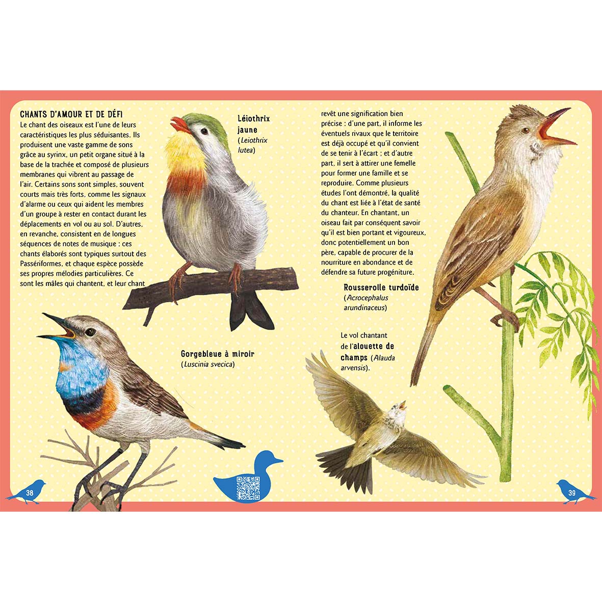Guide des oiseaux du monde