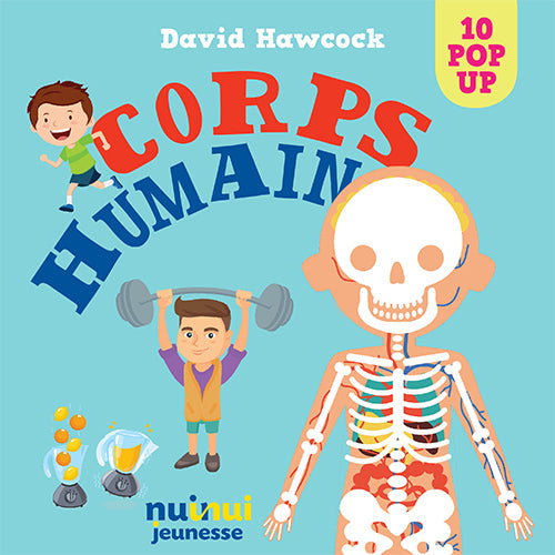 Corps humain : un lvire tout animé - David Hawcock - Nuinui Jeunesse -  Grand format - Librairie Durance NANTES