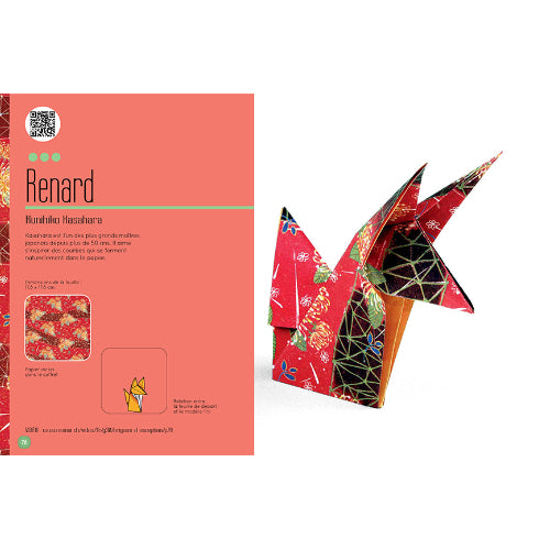 Origami d'exception - Nouvelle édition