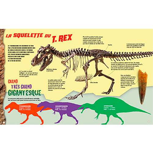 Méga Dino - T.Rex - nouvelle édition