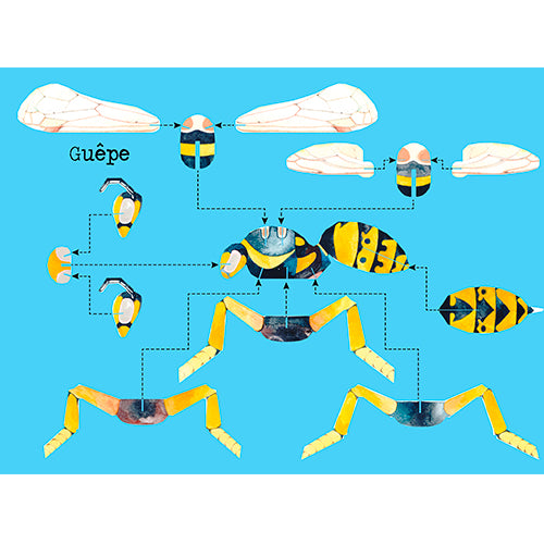 Construis en 3D – Insectes