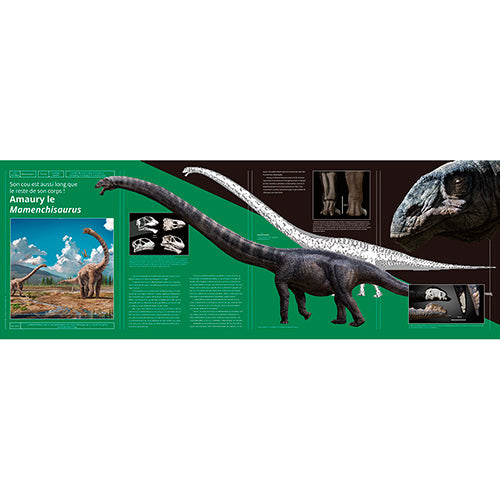 Dinosaures herbivores majestueux
