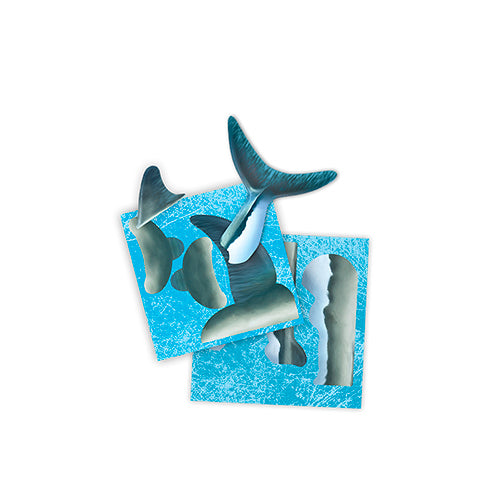 Construis en 3D - Un requin géant