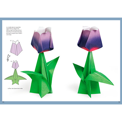 Leçons d'Origami - Nouvelle édition